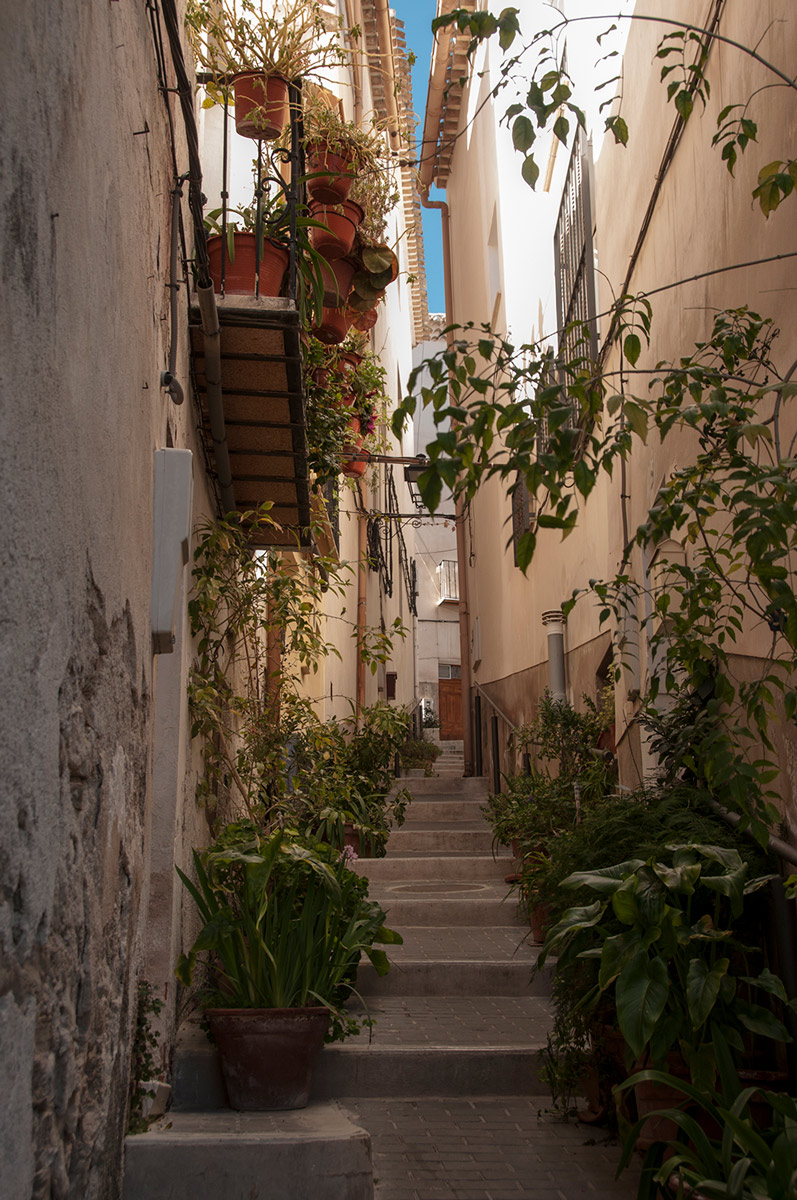 Casco Antiguo Medieval
